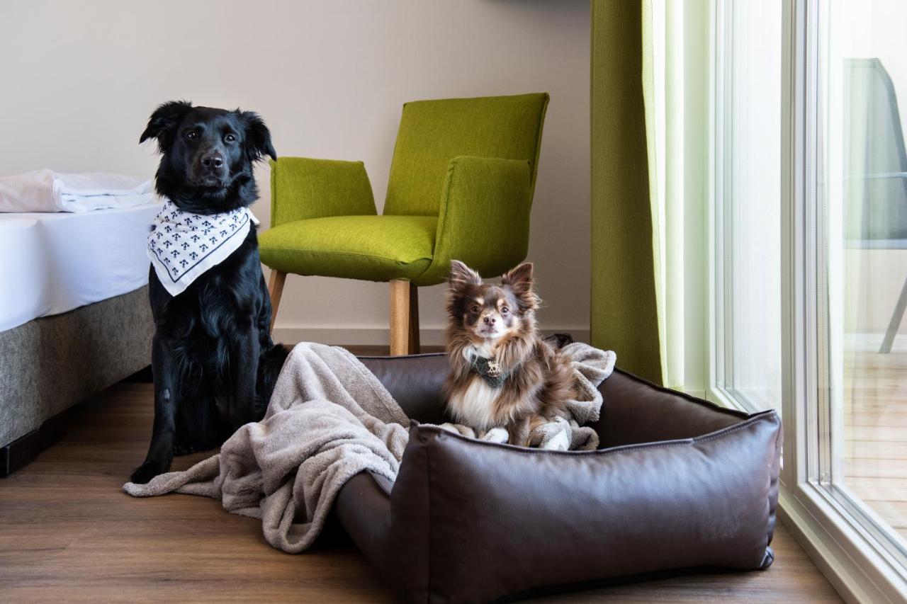Schnitzers Dahoam - Hundefreundlich Hotel Bad Wiessee Bagian luar foto